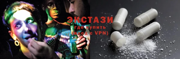 индика Медногорск