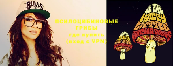тгк Михайлов