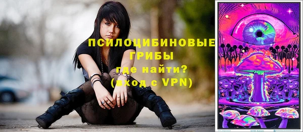 таблы Михайловск