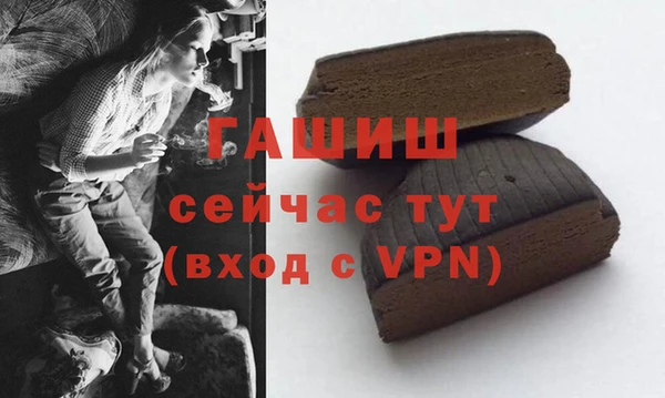 индика Медногорск